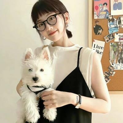 蜘蛛的策略